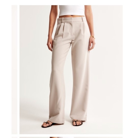 Abercrombie & Fitch Sloane Wide Leg Pleated Tailored Pants in Taupe - Picture 1 of 10